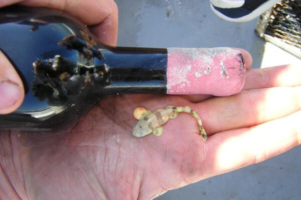 3f6ba3e3-f60d-4c93-b5a0-7fceed005a20