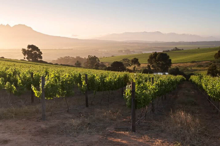 Boschkloof Wines Boschkloof Wines