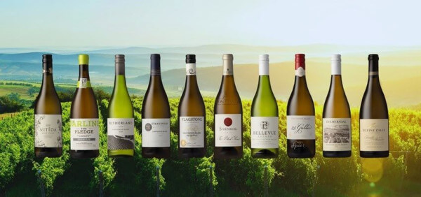 Sauvignon-Blanc-2020