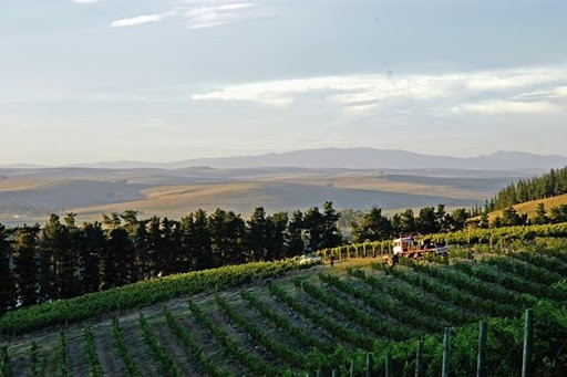 Lismore Estate Vineyards Lismore Estate Vineyards