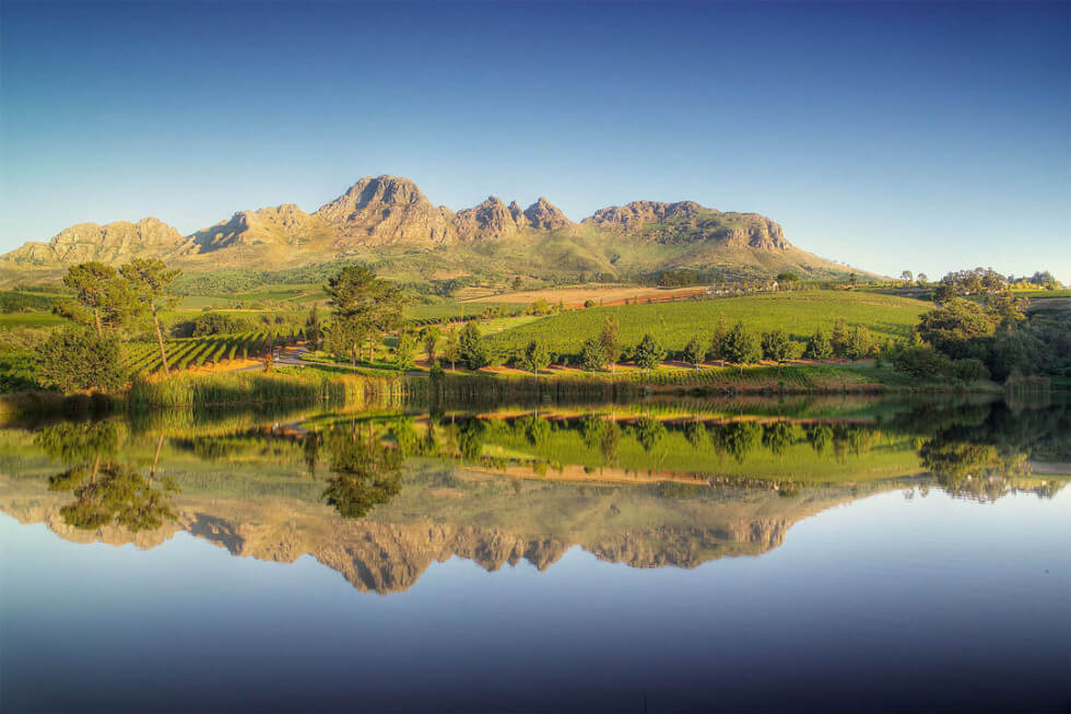 Ernie Els Wines Ernie Els Wines
